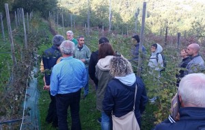 lezione sottobosco cireglio