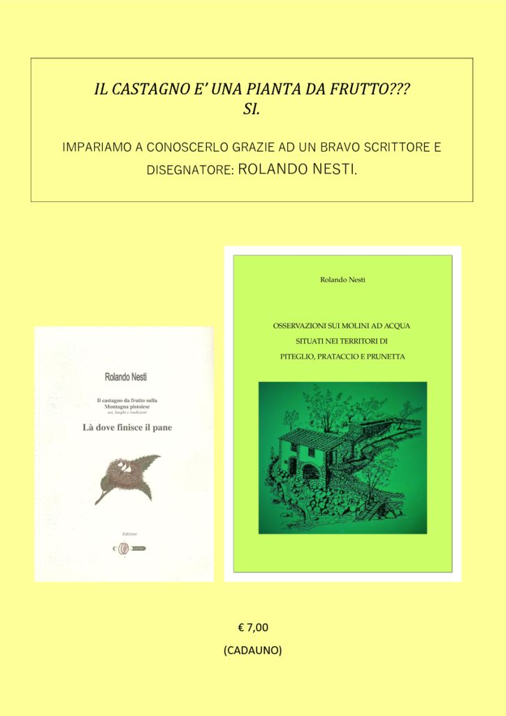 thumbnail of locandina libri di Rolando-converted