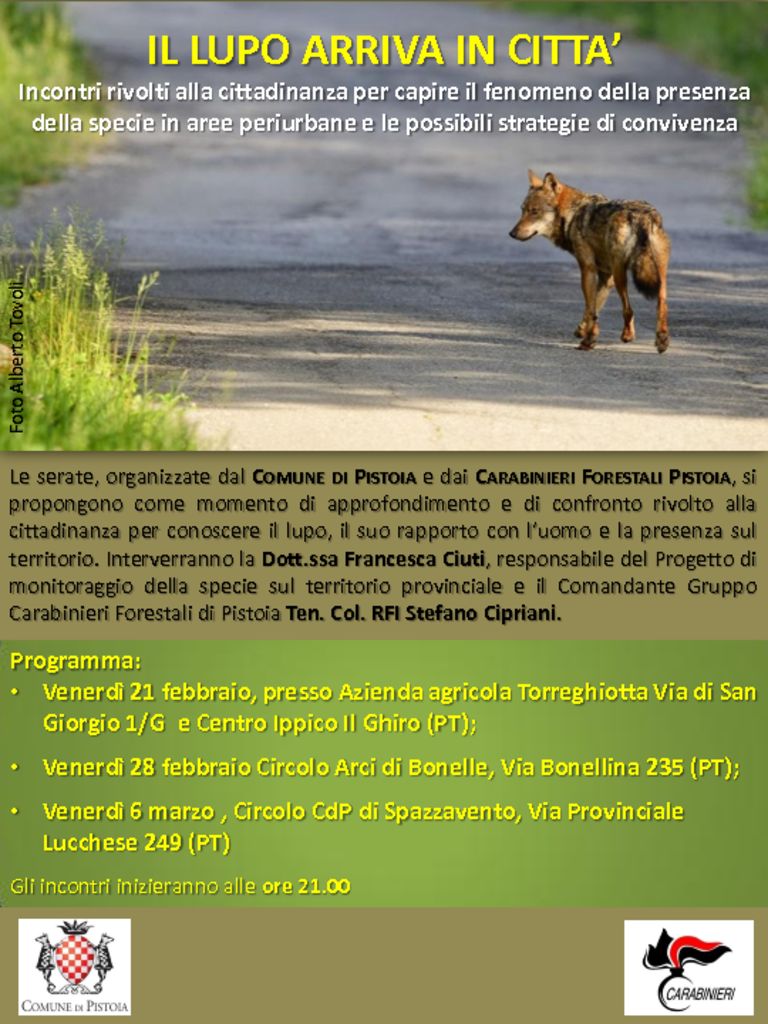 thumbnail of Serate_lupo_PT_2020
