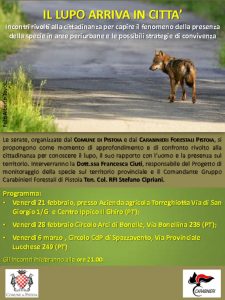 thumbnail of Serate_lupo_PT_2020
