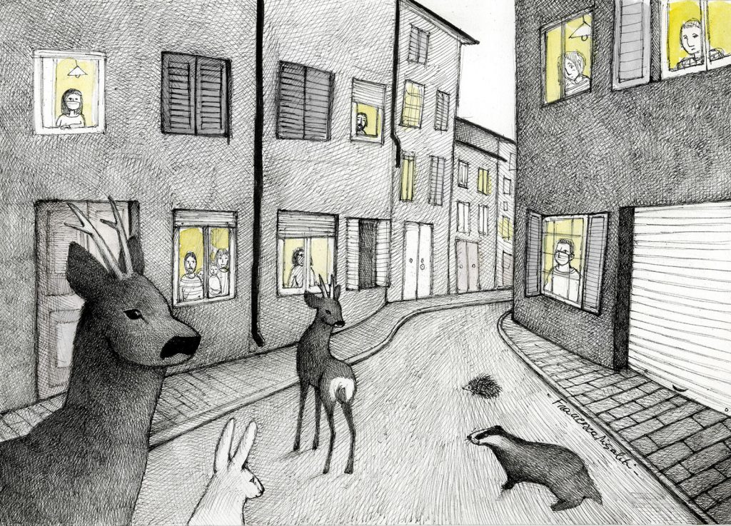 Animali in città - Illustrazione copyright Francesca Risaliti