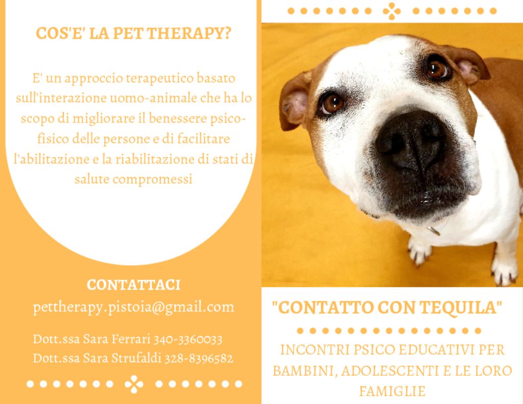 thumbnail of Locandina completa Pet