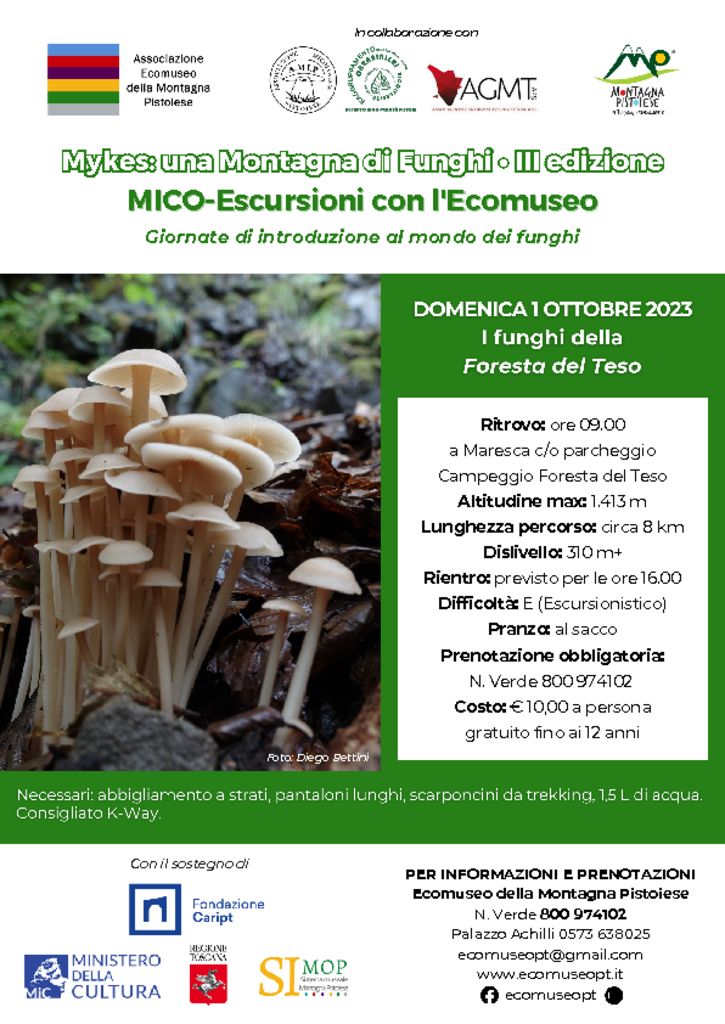 thumbnail of MICO-Escursione Foresta del Teso
